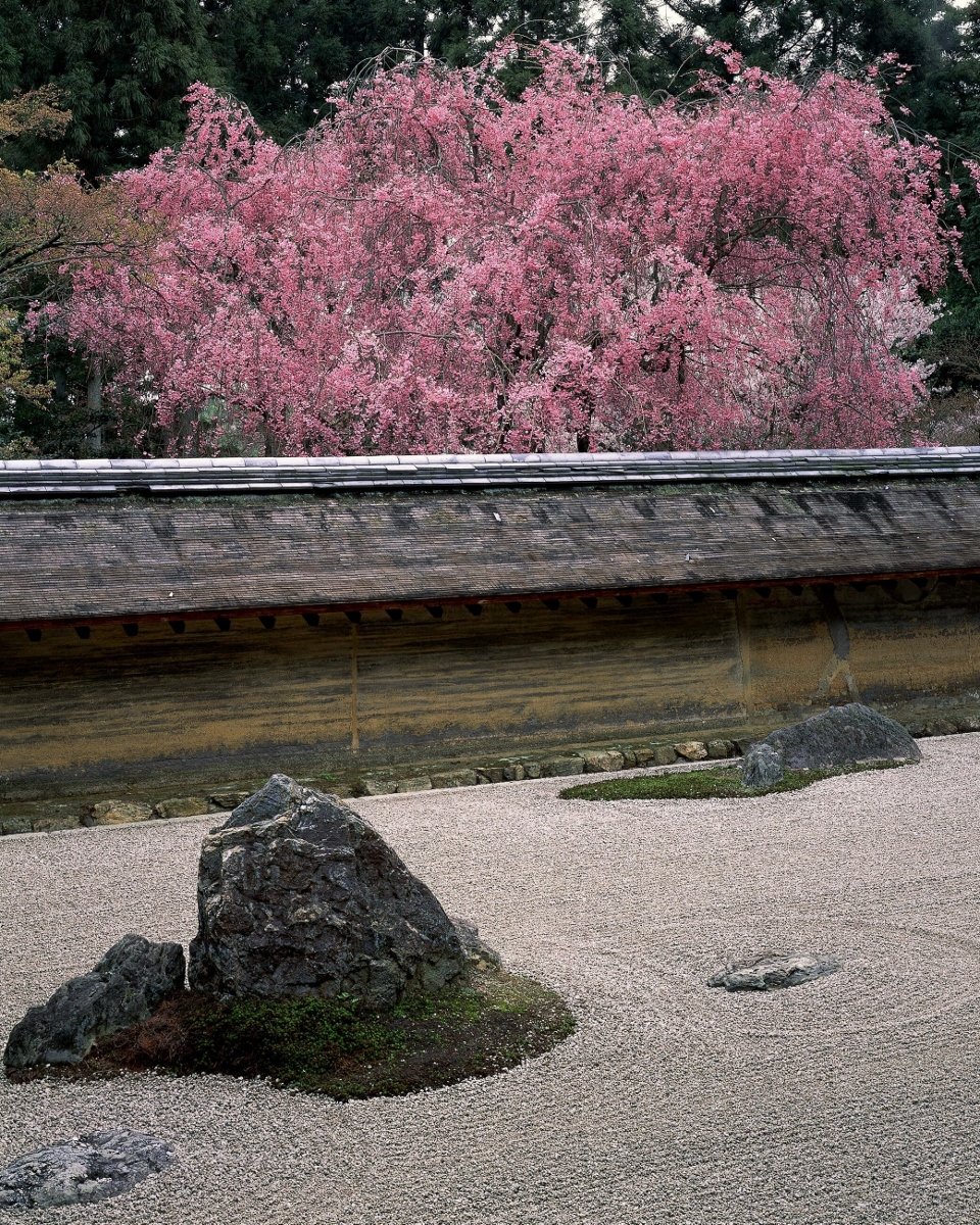 Mizuno Katsuhiko – Giardini giapponesi